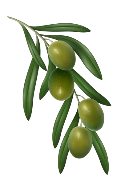 Image olives